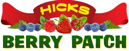 Hicks Berry Patch